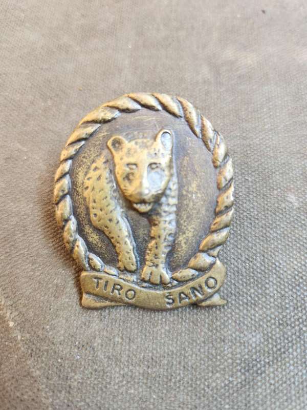 scarce original SADF era metal SA Army 117 SAI Bn beret badge
