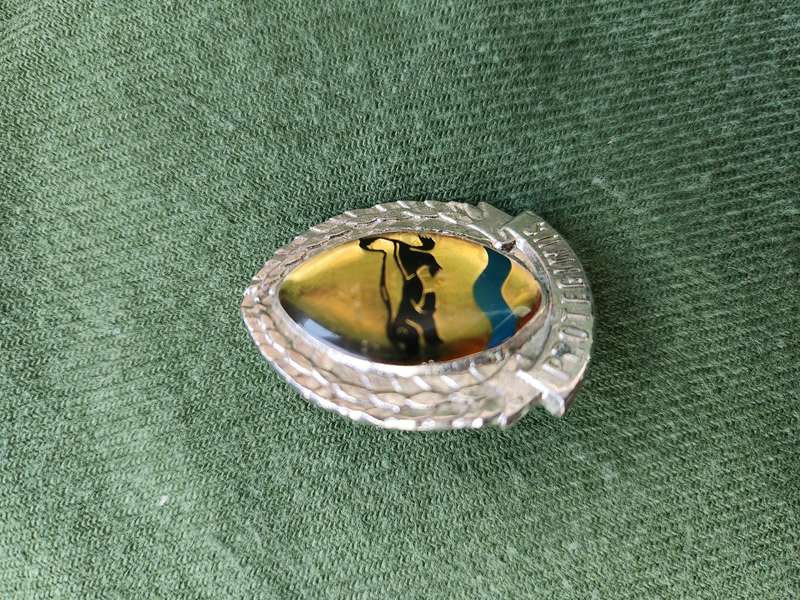scarce used condition 100% original SADF era Insele Commando enamel & metal beret badge both rear