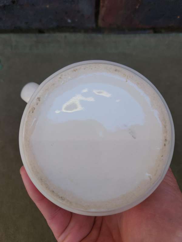 intact & undamaged 100% original Rhodesian era Intelligence Corps beer mug (tankard) - no damage