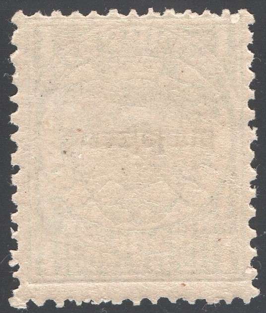 SWAZILAND 1892 SACC9 ½d GREY - MM- CV R350