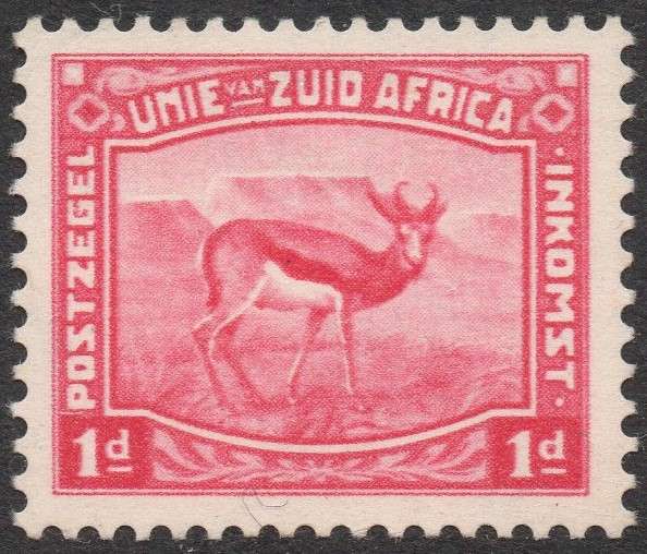 Union of SA - 1d CARMINE ESSAY(Small format) - MM(watermarked) - SEE SCANS