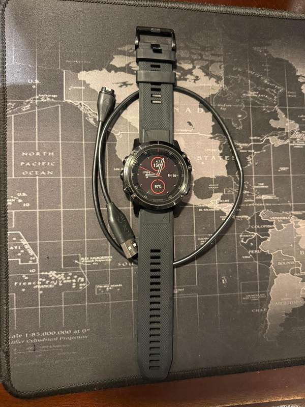 Garmin Fenix 5