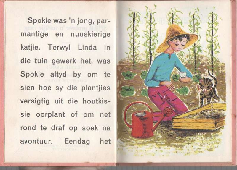 SPOKIE PROBEER 'N VOELTJIE VANG - HETTIE CROUS