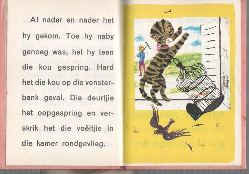 SPOKIE PROBEER 'N VOELTJIE VANG - HETTIE CROUS