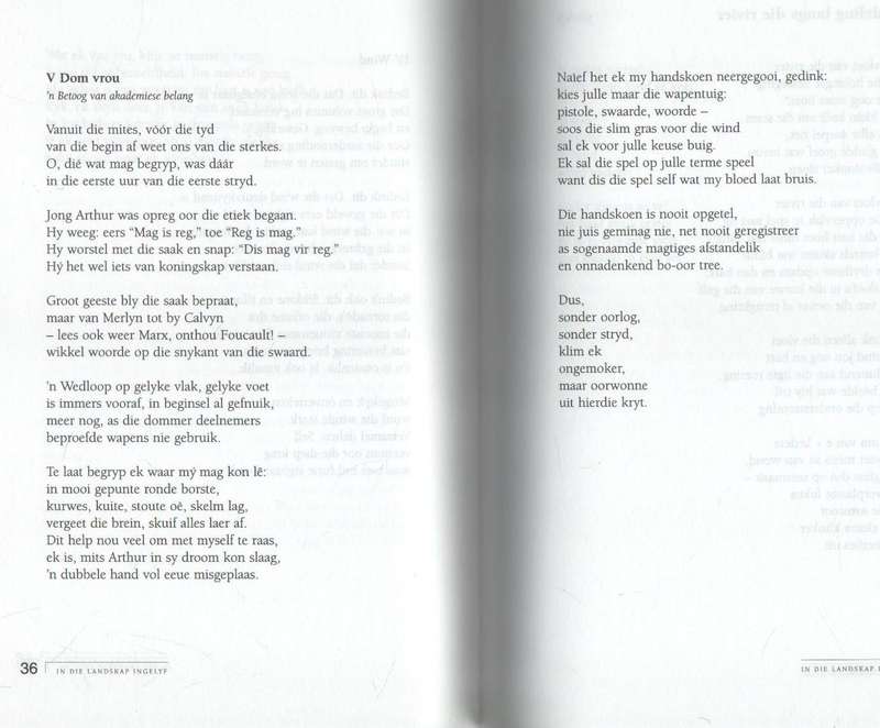 IN DIE LANDSKAP INGELYF - HEILNA DU PLOOY (1 STE UITGAWE 2003)