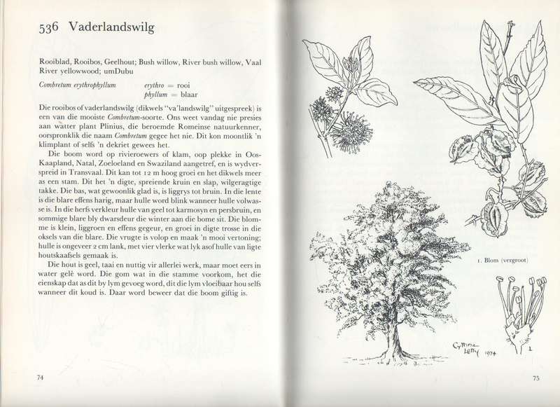 ONS EIE BOOMBOEK - CYTHNA LETTY (1 STE UITGAWE 1980)