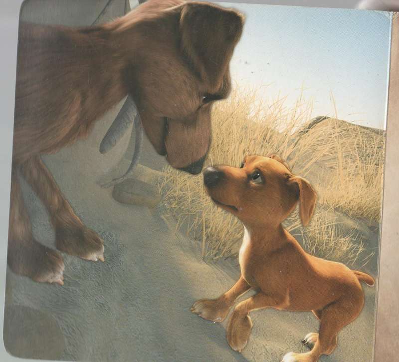 JOCK OF THE BUSHVELD - PENGUIN BOOKS (2011)