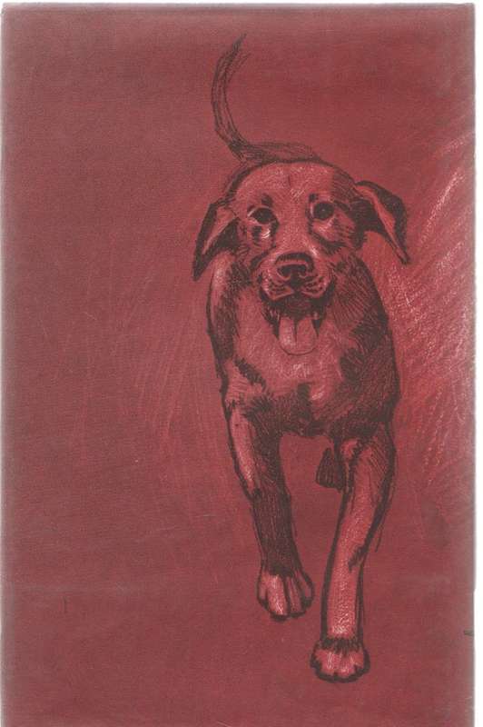 TESSA WEER TUIS - ELIZABETH STANDER (3 DE DRUK 1979)