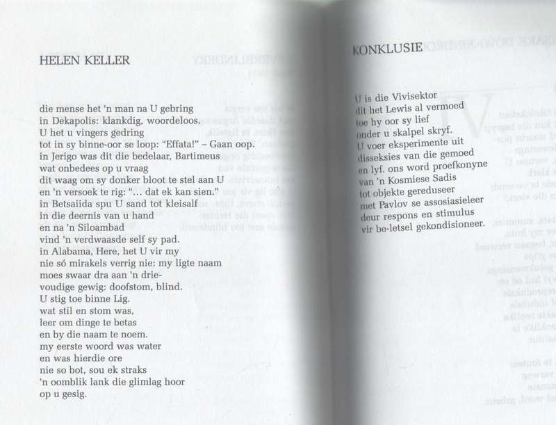 IN DIE TYD VAN DIE UILE - SARINA DONGES (1 STE UITGAWE 2004)