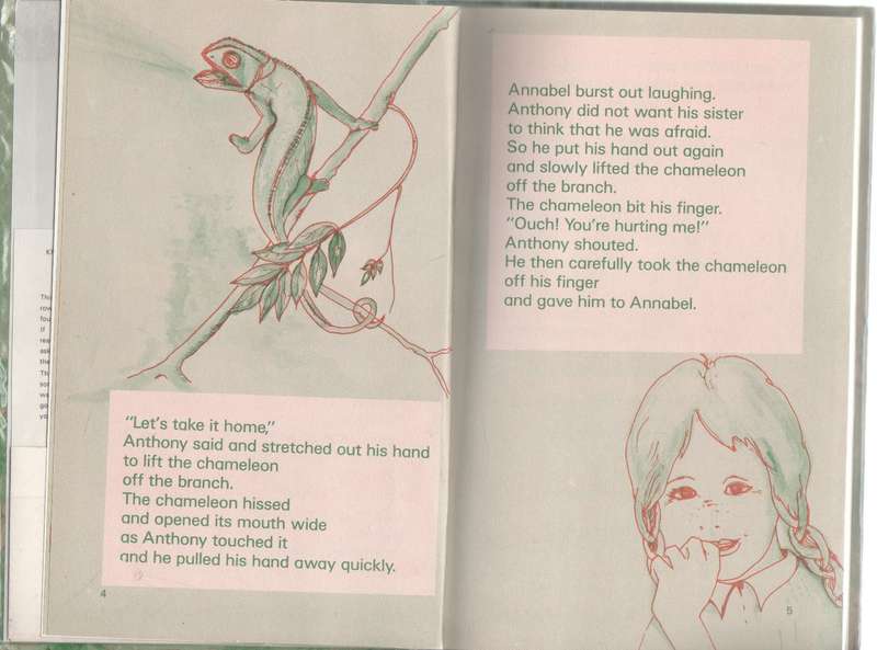 MR SEE-IT-ALL - WINCKLER AND MARAIS ( STAGE 3 - 1 ST EDITION 1986)