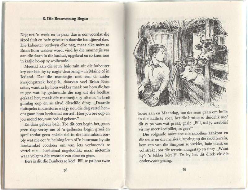 DIE BETOWERDE SKOOL - RUTH SAWYER (1972) JEUGVERHAAL