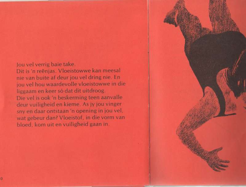 DIE VEL, DIE MENS SE LIGGAAM - KATHLEEN ELGIN (1976)