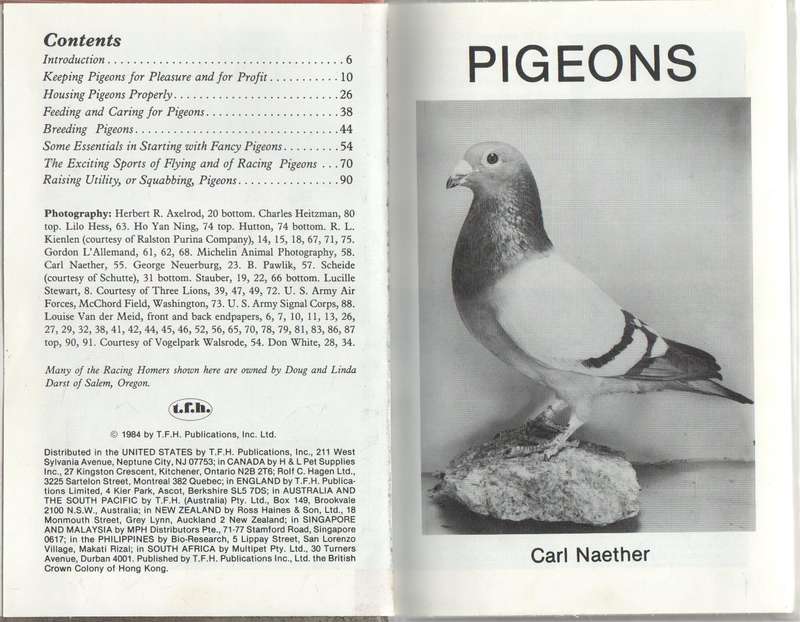 PIGEONS - CARL NAETHER (1984)