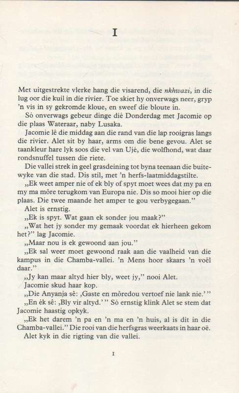 DWARS-IN-DIE-WEG - HESTER HEESE (1 STE UITGAWE 1979)