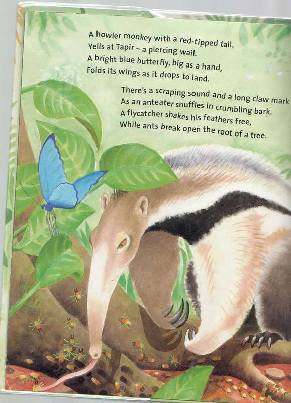 JUNGLE SONG - MIRIAM MOSS