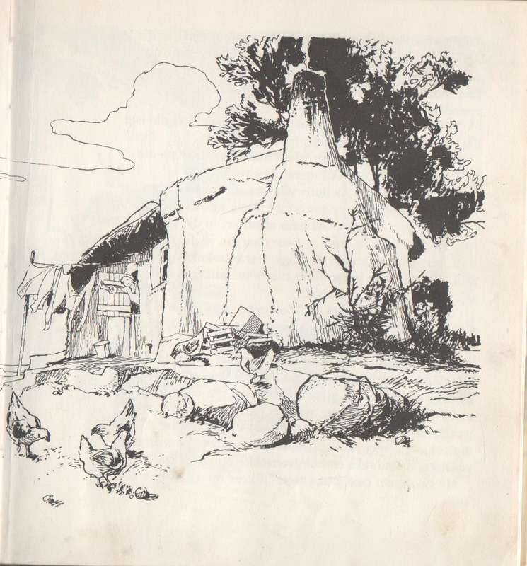 DIE LANGTREESKOENE - AAJ VAN NIEKERK (1 STE DRUK 1978)