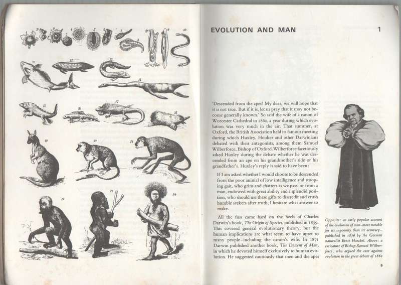 THE EVOLUTION OF MAN - DAVID PILBEAM (1970)