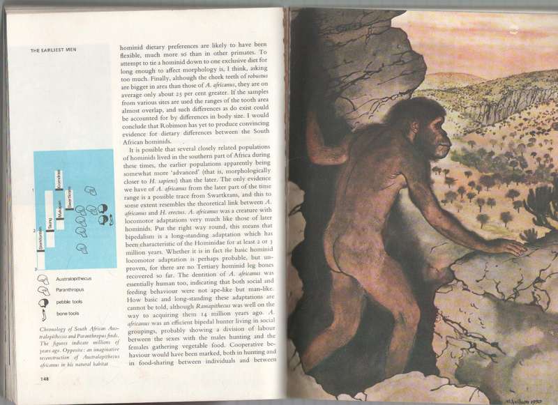THE EVOLUTION OF MAN - DAVID PILBEAM (1970)