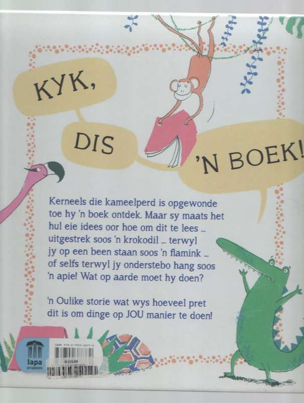 DIS MY BOEK! - FABI SANTIAGO (2017)