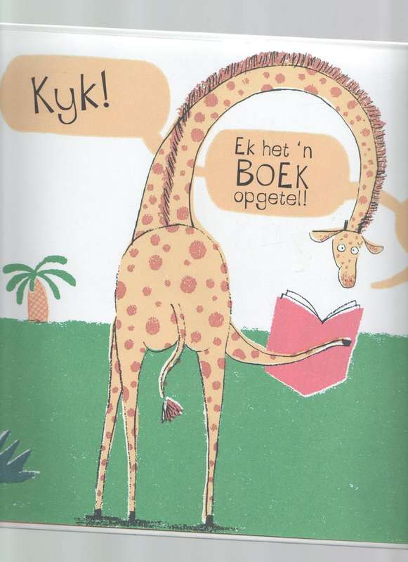 DIS MY BOEK! - FABI SANTIAGO (2017)