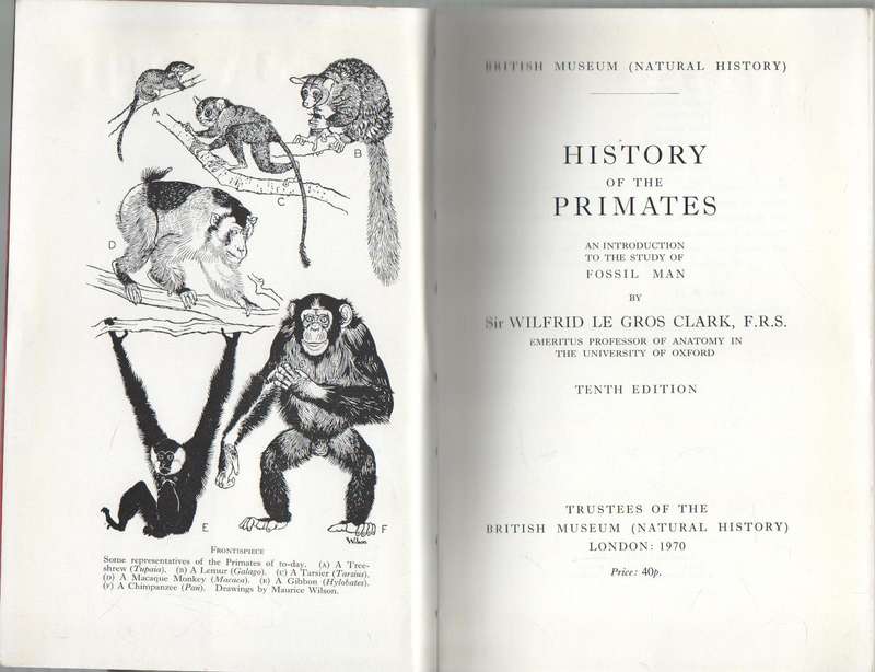 HISTORY OF THE PRIMATES - W E GROS CLARKE (10TH EDITION 1970)