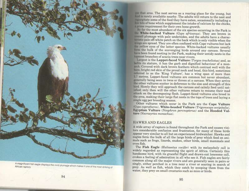 THE KRUGER NATIONAL PARK - L E O BRAACK (1 ST EDITION 1983)