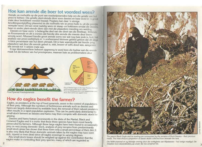 ARENDE EN BOERE / EAGLES & FARMERS - SA EAGLE INSURANCE CO. LTD