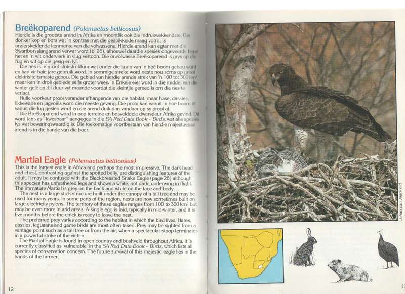ARENDE EN BOERE / EAGLES & FARMERS - SA EAGLE INSURANCE CO. LTD