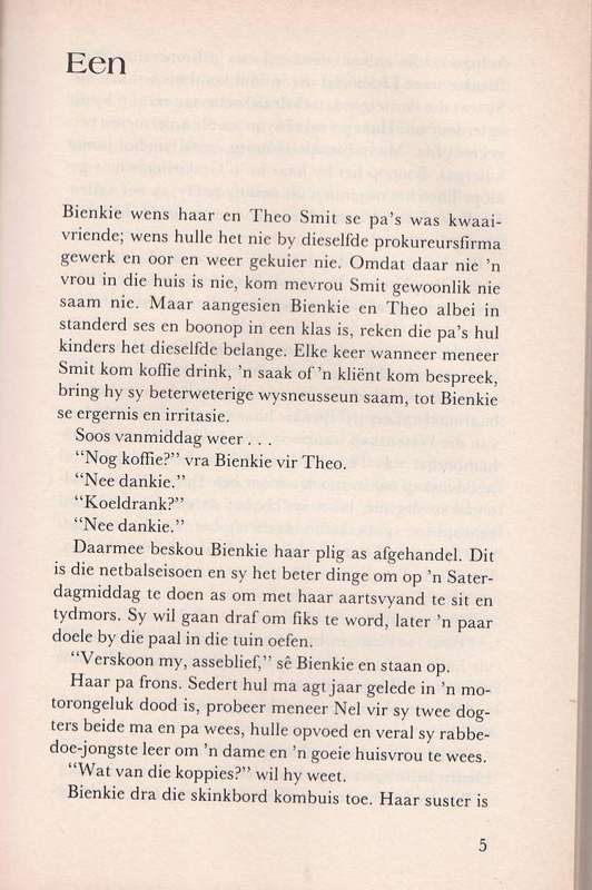 BIENKIE EN DIE BOEMELAAR - ETTIE BIERMAN (1 STE DRUK 1988)