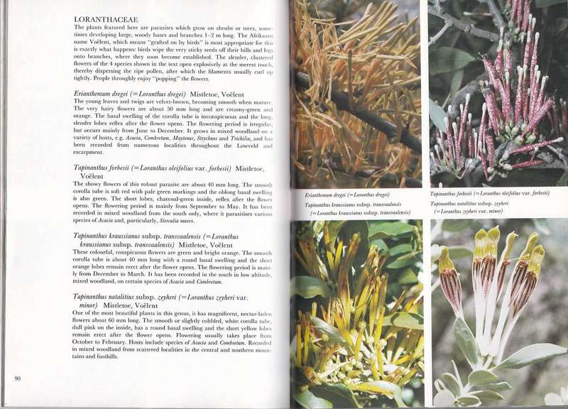TRANSVAAL LOWVELD AND ESCARPMENT INCLUDING KRUGER NATIONAL PARK - JO ONDERSTALL (1984)