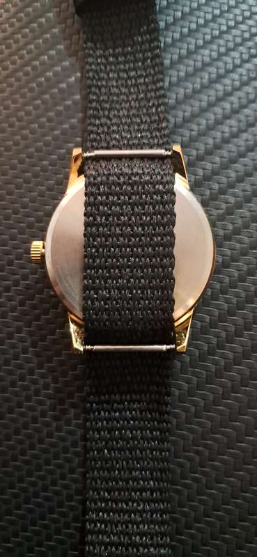Montine Switzerland 17 Jewels Incabloc mechanical watch