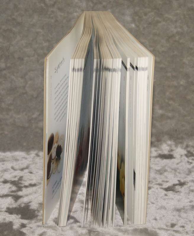 "The Dream Bible" by Brenda Mallon