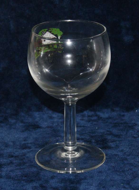 "Die Oog Naboomspruit" white wine glass