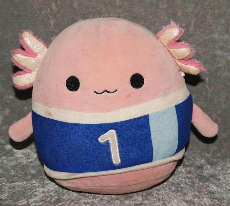 Plush axolotl @ Crazy R1 start