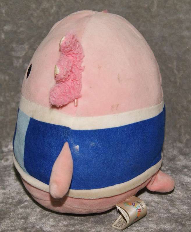 Plush axolotl @ Crazy R1 start