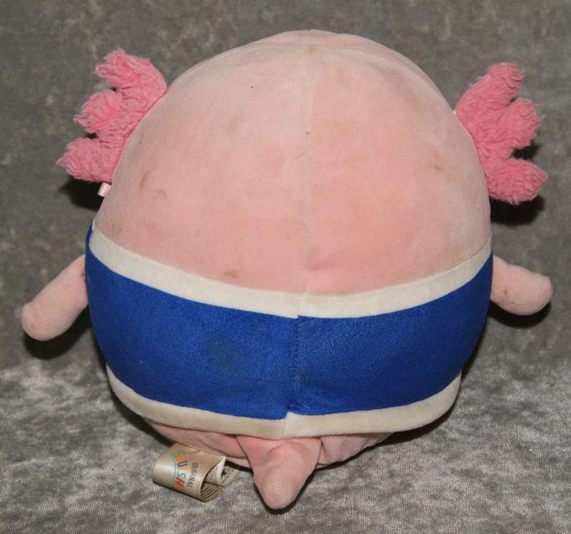 Plush axolotl @ Crazy R1 start