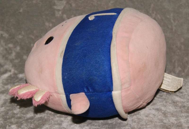 Plush axolotl @ Crazy R1 start