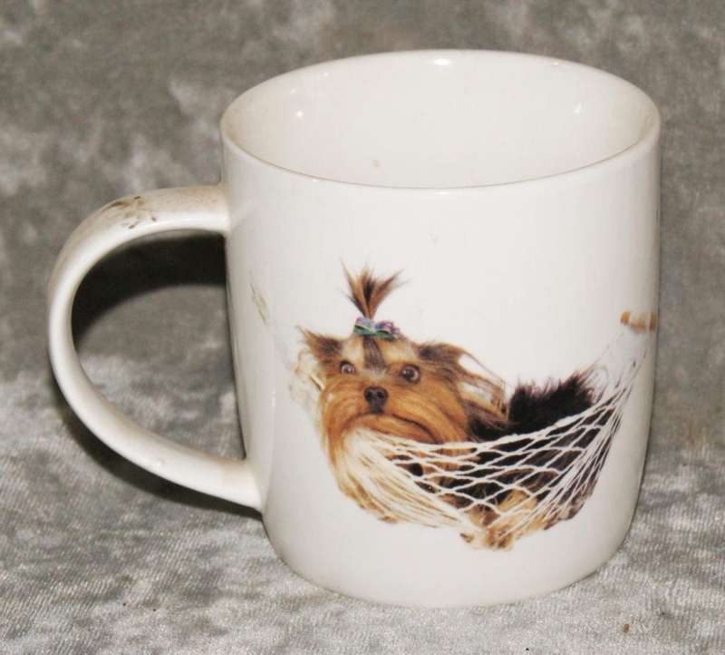 Yorkshire Terrier coffee mug @ crazy R1 start