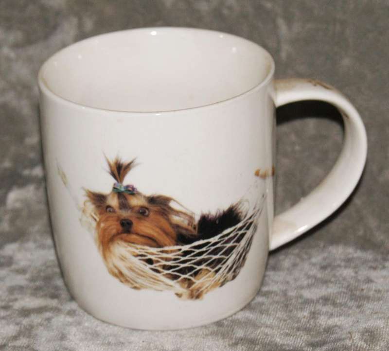 Yorkshire Terrier coffee mug @ crazy R1 start