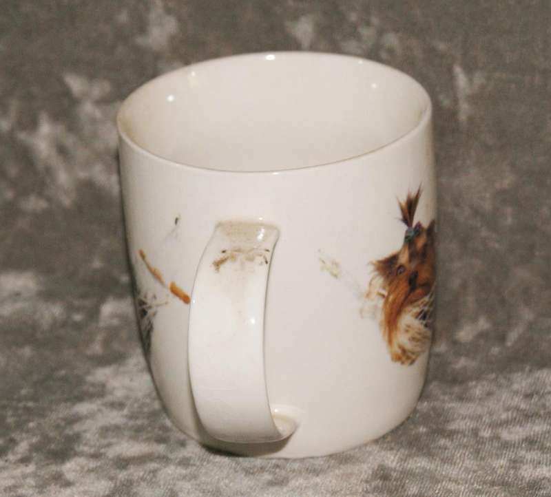 Yorkshire Terrier coffee mug @ crazy R1 start