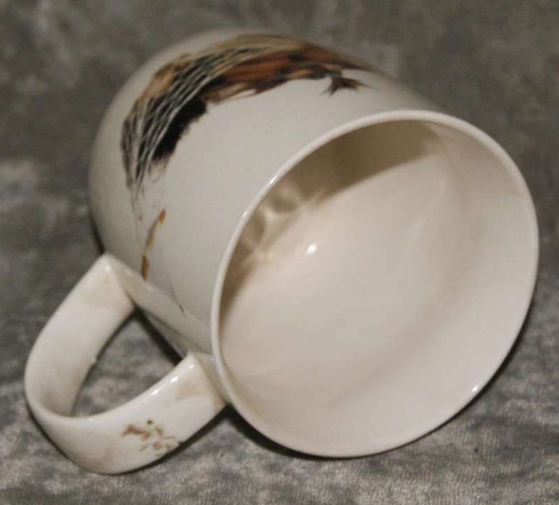 Yorkshire Terrier coffee mug @ crazy R1 start