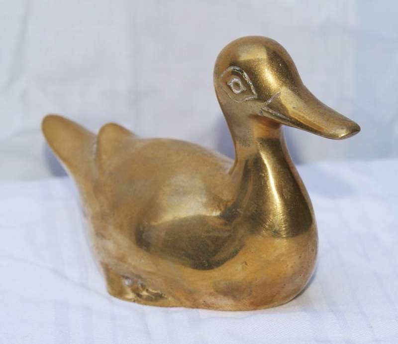 Brass duck @ crazy R1 start