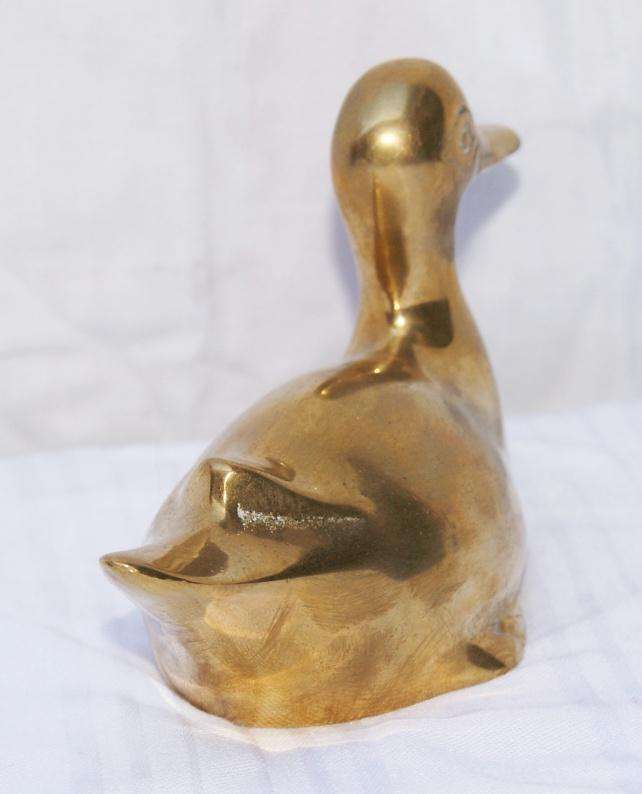 Brass duck @ crazy R1 start