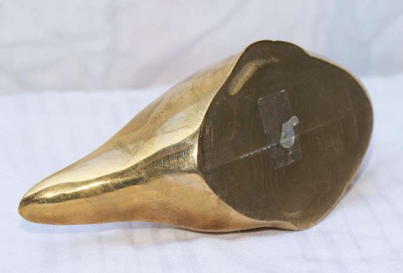 Brass duck @ crazy R1 start
