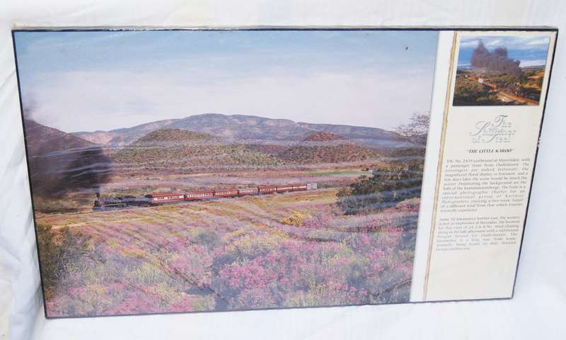 The Shimmer of Steel  The Little Karoo Print