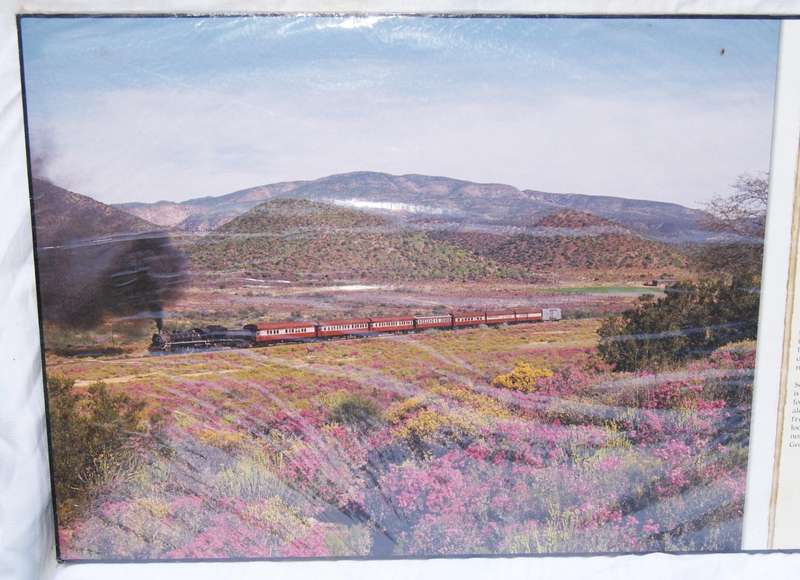 The Shimmer of Steel  The Little Karoo Print