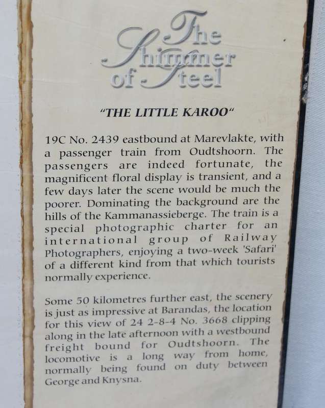 The Shimmer of Steel  The Little Karoo Print