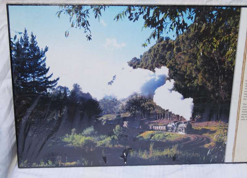 The Shimmer of Steel  Knysna Travels Print