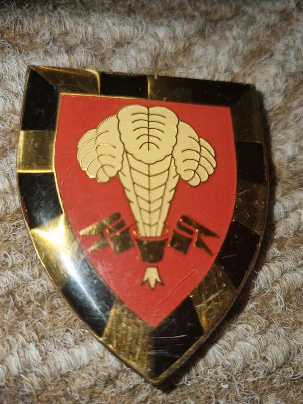 1x LOT of SADF metal shoulder flashes