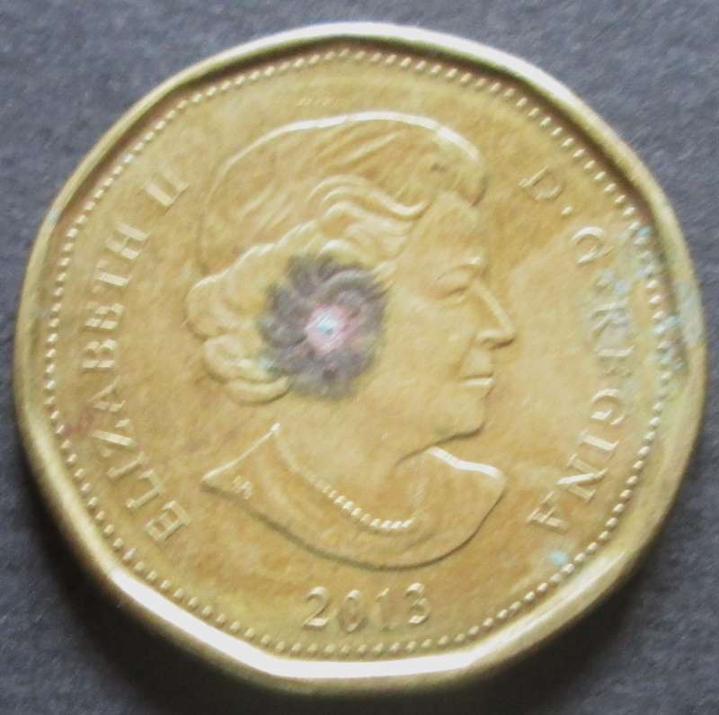 2013 Canada 1 Dollar